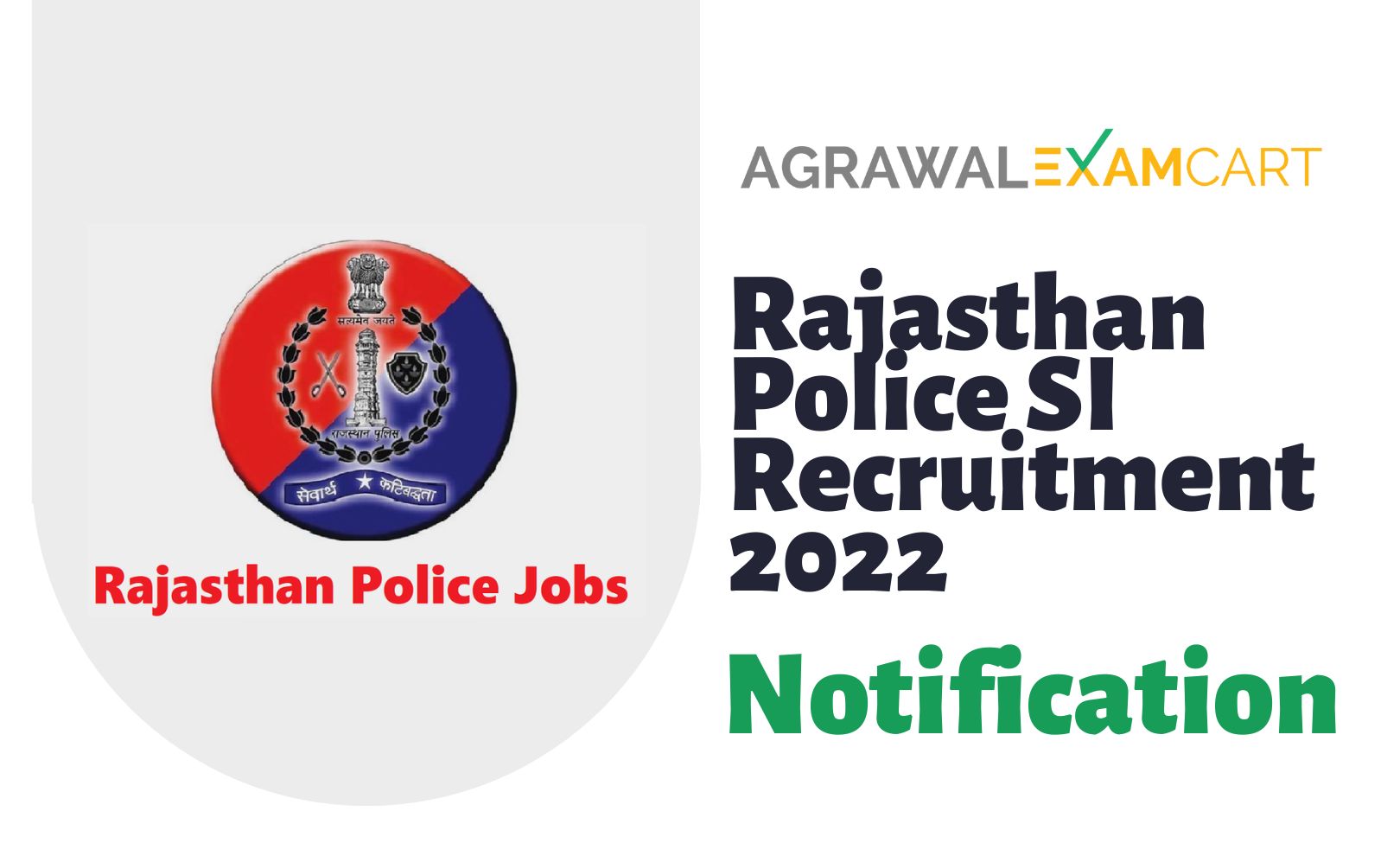 Rajasthan Police Constable Recruitment 2023 Apply Link