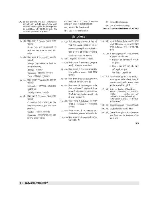 Examcart DSSSB English and Hindi Language Chapterwise Solved Paper Book for PRTs | TGTs | PGTs | Spl. Edu | DASS Exams In Hindi and English