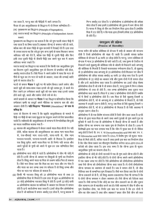 examcart-ctet-paper-2-sst-study-guidebook-hindi-2024-exam-book-cover-page